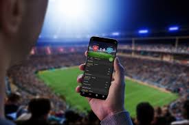 The Rise of 8ku Bet A New Era in Online Betting